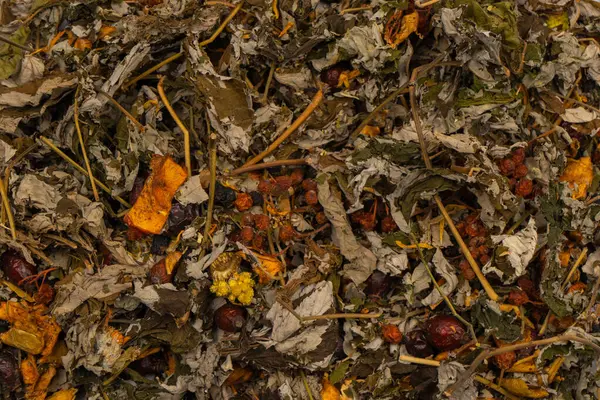 Dry Tea Leaves Background Mountain Tea Stock Image