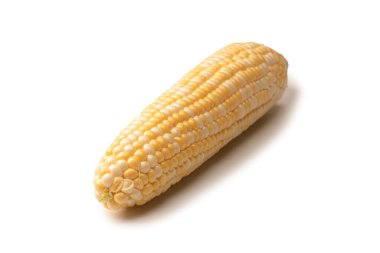 Yellow sweet corn isolated on white background. Copyspace.