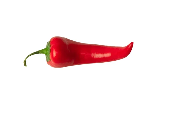 在白色背景上分离的红辣椒 — 图库照片