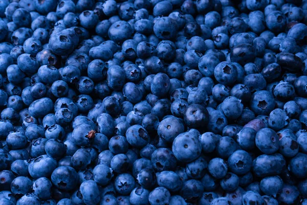 Fresh Blueberry Background Texture Blueberry Berries Close — 스톡 사진