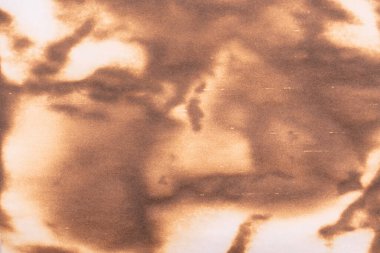 Beyaz arka planda izole edilmiş yanmış kağıt. Boşluğu kopyala