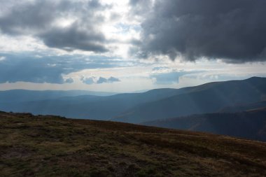Yeşil çayırlar, ağaçlar, arka planda dağlarda koyu alçak bulutlar olan Karpatya yaban örümceğinin güzel manzarası. Seyahat yerleri. Sonbahar manzarası. 
