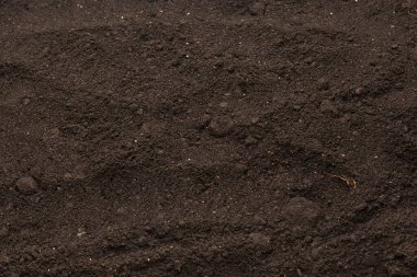 Bitkiler için kara toprak. Üst görünüm. 
