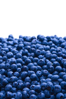 Fresh blueberry as a background. Texture blueberry berries close up.