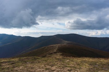 Yeşil çayırlar, ağaçlar, arka planda dağlarda koyu alçak bulutlar olan Karpatya yaban örümceğinin güzel manzarası. Seyahat yerleri. Sonbahar manzarası. 