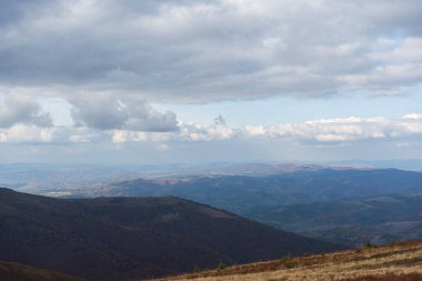 Yeşil çayırlar, ağaçlar, arka planda dağlarda koyu alçak bulutlar olan Karpatya yaban örümceğinin güzel manzarası. Seyahat yerleri. Sonbahar manzarası. 