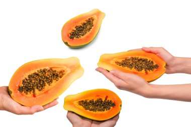Papaya meyvesi beyaz arka planda izole bir şekilde kadınların elinde. Tropik meyve. Yarım papaya.. 
