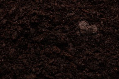 Black land for plant background. Top view.  Heart symbol. 