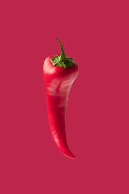 Red hot chili pepper isolated on a viva magenta background. 