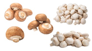 Beyaz arka planda izole edilmiş lezzetli mantar..