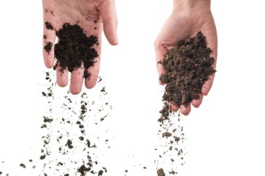 Kadınların elindeki kahverengi toprak beyaz arka planda izole edilmiş. Toprak elimizden kayıp gidiyor..