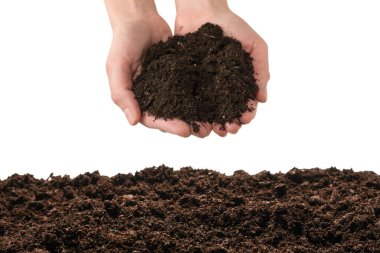 Beyaz arka planda izole edilmiş bitkiler için kara toprak. 