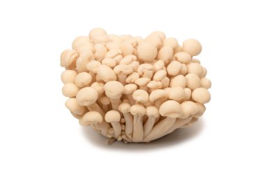 Raw white beech mushrooms isolated on a white background. 