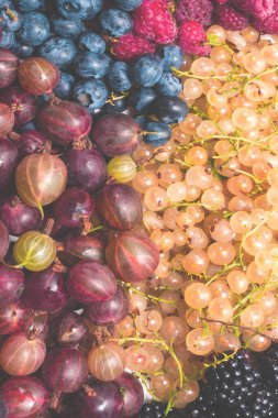 Bektaşi üzümü, yabanmersini, dut, ahududu, beyaz ve kırmızı frenk üzümü arka plan. 