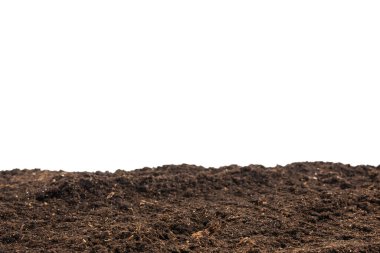 Bitkiler için toprak beyaz arka planda izole edildi. Toprak deseni.