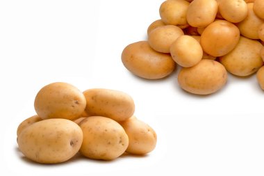 A group of fresh tasty potato isolated on a white background. 