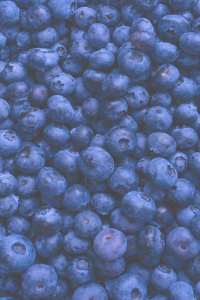 Fresh blueberry as a background. Texture blueberry berries close up.