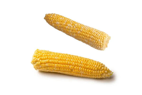 Желтый Сладкий Кукуруза Изолированы Белом Фоне Copyspace — стоковое фото