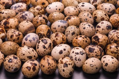 Arka plan olarak bir grup bıldırcın yumurtası. Çiğ yumurta..