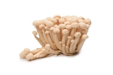 Raw white beech mushrooms isolated on a white background. 