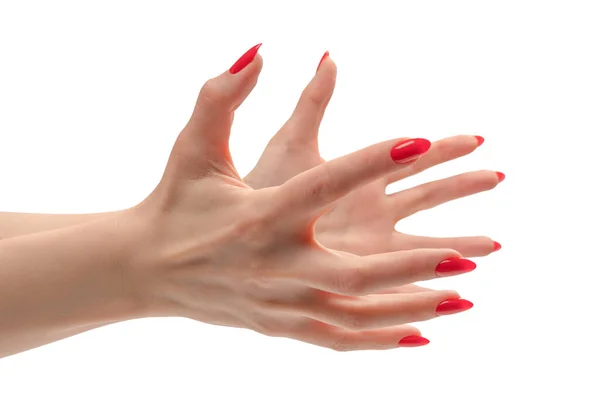 Femme Main Avec Des Ongles Rouges Tenant Quelque Chose Isolé — Photo