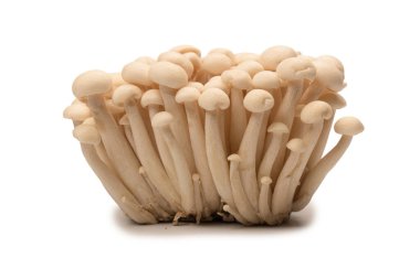 Raw white beech mushrooms isolated on a white background. 