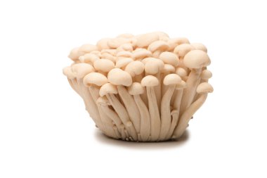 Raw white beech mushrooms isolated on a white background. 