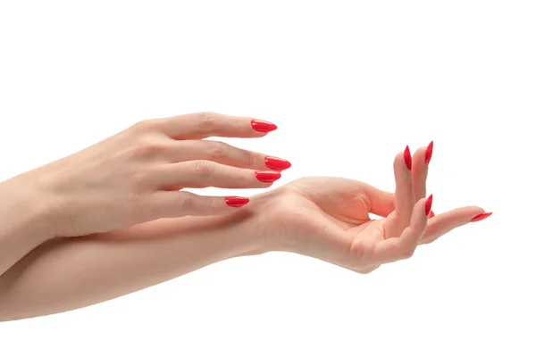 Женские Руки Красными Ногтями Изолированы Белом Фоне Красный Лак — стоковое фото