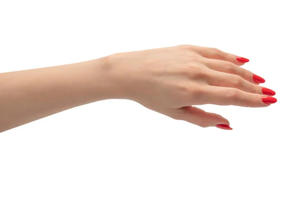 Kvinnliga Händer Med Röda Naglar Isolerade Vit Bakgrund Rött Nagellack — Stockfoto