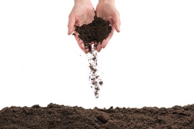 Kadınların elindeki kahverengi toprak beyaz arka planda izole edilmiş. Toprak elimizden kayıp gidiyor..