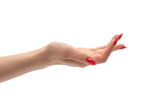 Kobieta Ręka Czerwonymi Paznokciami Trzyma Coś Odizolowany Białym Tle — Zdjęcie stockowe