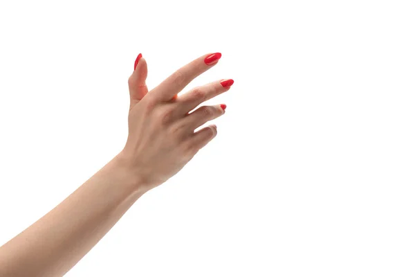 Woman Hand Red Nails Holding Something Isolated White Background — Stock Photo, Image