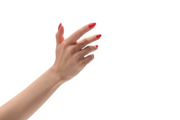 白い背景に隔離された何かを保持赤い爪を持つ女性の手 — ストック写真