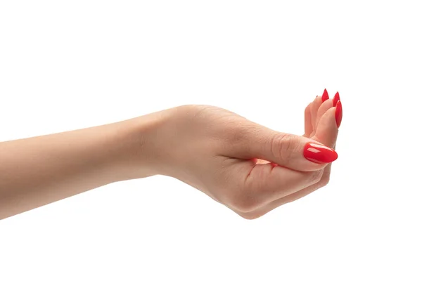 白い背景に隔離された何かを保持赤い爪を持つ女性の手 — ストック写真