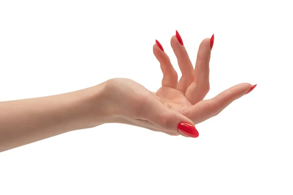 Женщина Рука Красными Ногтями Держа Изолированные Белом Фоне — стоковое фото