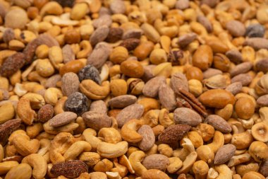 Lezzetli tuzlu fındık karışımı. Bir grup badem, fıstık, ceviz, macadamia, kaju..