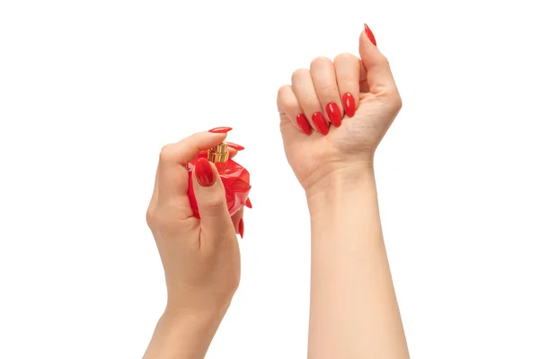 Red bottle of perfume in woman hand with red nails isolated on a white background. Applying perfume.