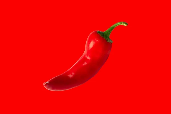 Röd Varm Chili Peppar Isolerad Röd Bakgrund — Stockfoto