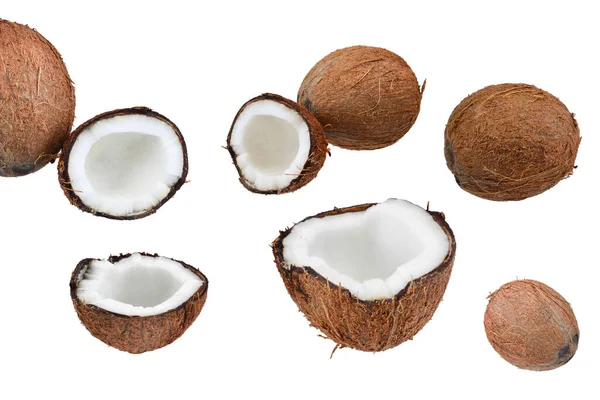 stock image Coconut isolated on white background. Space for text or design.