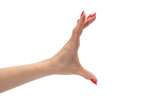 Mulher Mão Com Unhas Vermelhas Segurando Algo Isolado Fundo Branco — Fotografia de Stock