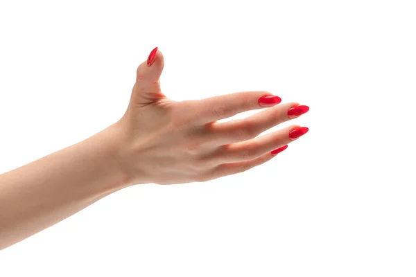 有红指甲的女人手拿着一样东西 被白色的背景隔开了 — 图库照片