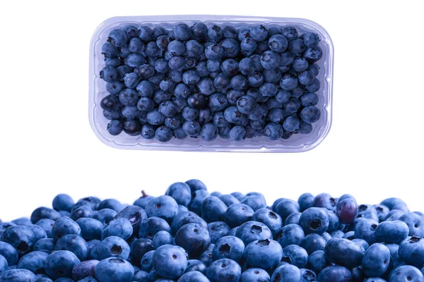 Fresh Blueberry Background Isolated White Background — Stock Photo, Image