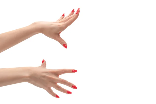 Nahaufnahme Der Weiblichen Hand Mit Blasser Haut Und Roten Nägeln — Stockfoto