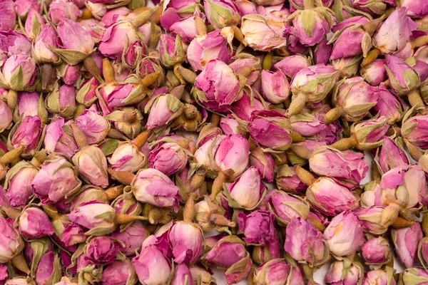 stock image Dry tea roses isolated on a white background. 