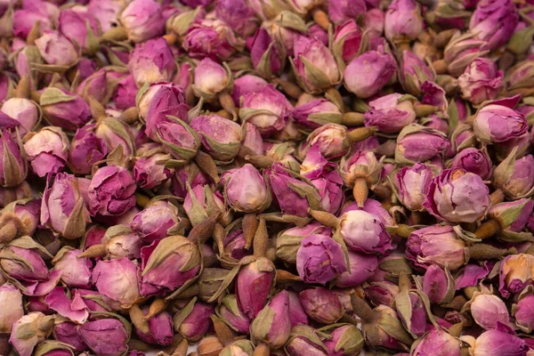 stock image Dry tea roses isolated on a white background. 