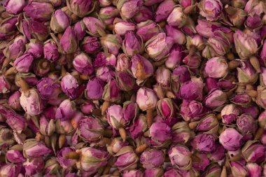 Beyaz arka planda izole edilmiş kuru çay gülleri.. 