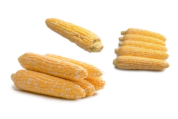 Yellow Sweet Corn Isolated White Background Copyspace — Fotografia de Stock