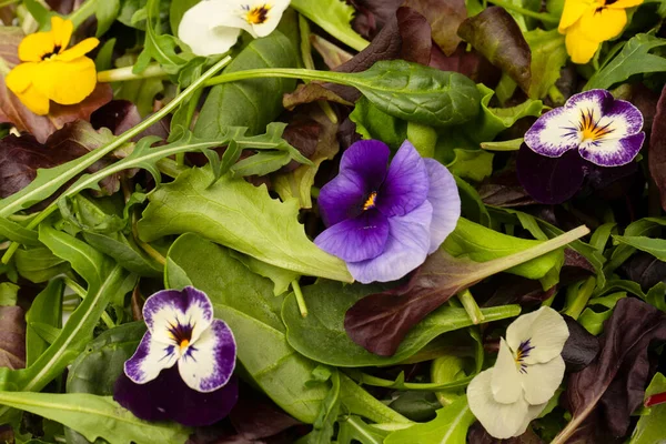 Fresh mix of salads with edible flowers.