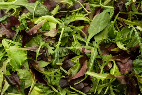 stock image Mix of fresh salad as a background. Top view. 