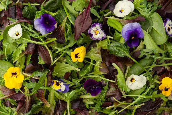 Amestec Proaspăt Salate Flori Comestibile — Fotografie, imagine de stoc